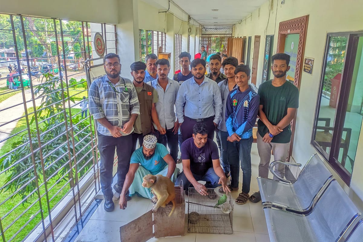 Bangladesh Wildlife Volunteers Help Rescue 61,000 Animals - Image 4