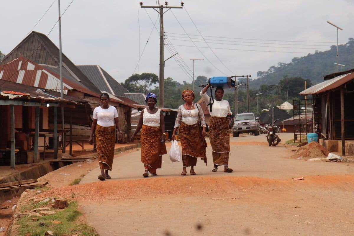 Nigerian Women Stop Illegal Logging, Save Rare Gorillas - Image 2
