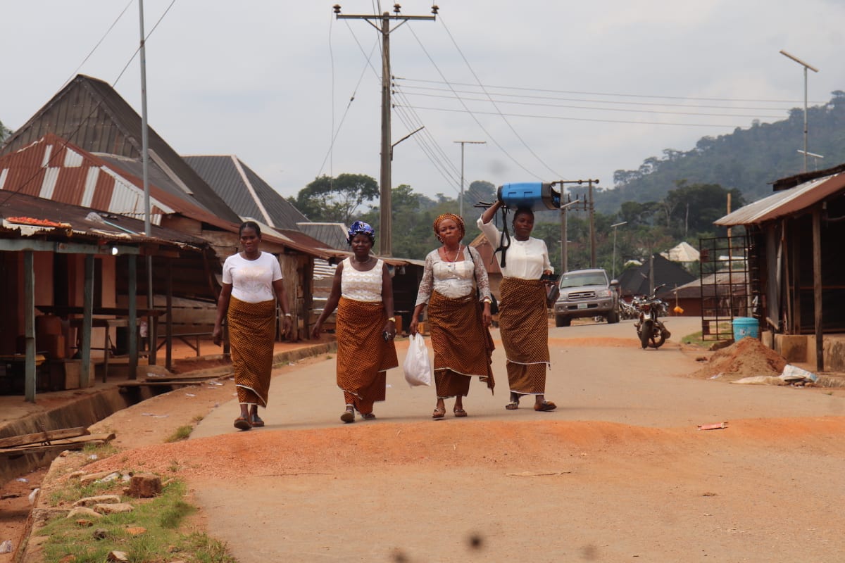 Nigerian Women Stop Illegal Logging, Save Rare Gorillas