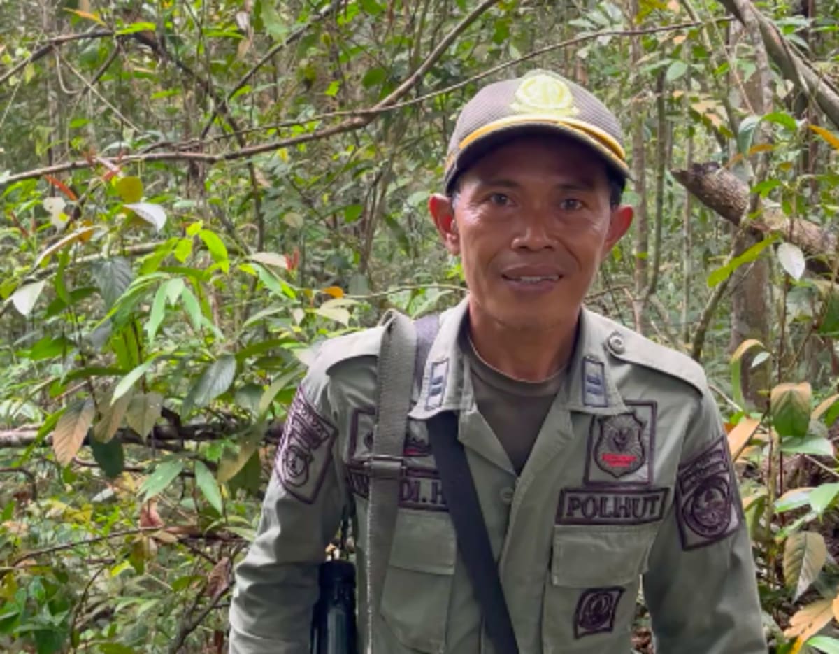 8 Rangers Protect 148,000 Acres of Tiger Forest in Sumatra - Image 3
