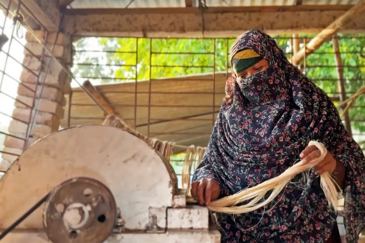 Bangladesh Turns Banana Waste Into $94M Industry - Image 2