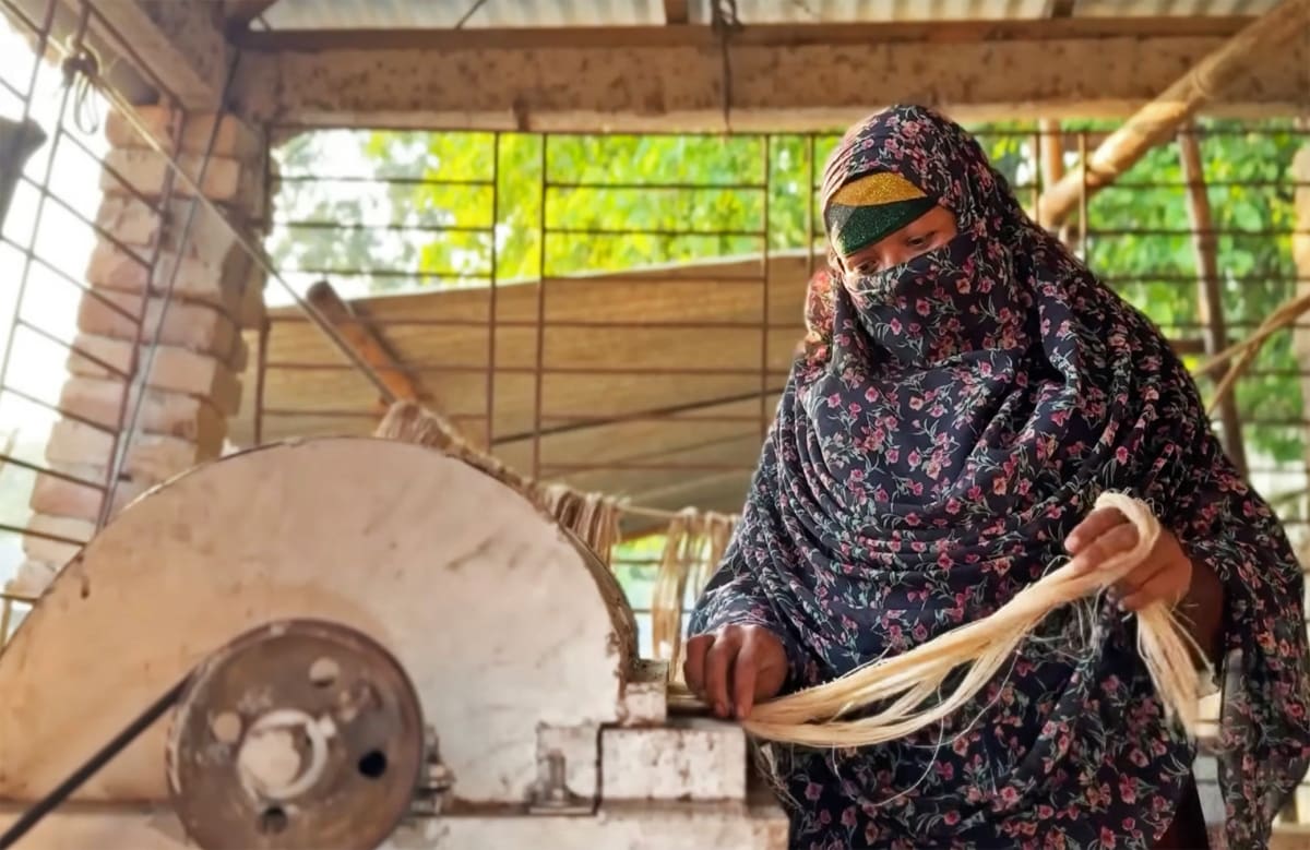 Bangladeshi entrepreneur processing golden banana fiber extracted from discarded plant stems