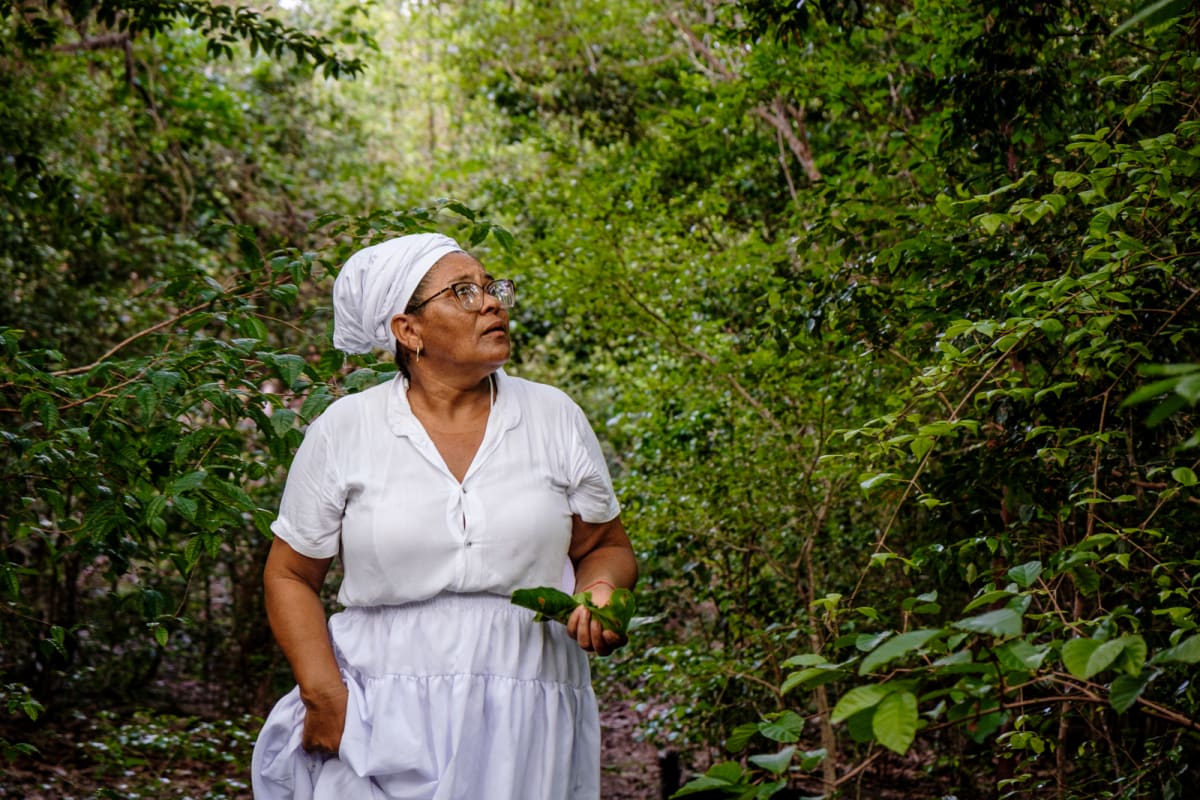Brazilian Quilombo Becomes State's Largest Organic Rice Farm - Image 4