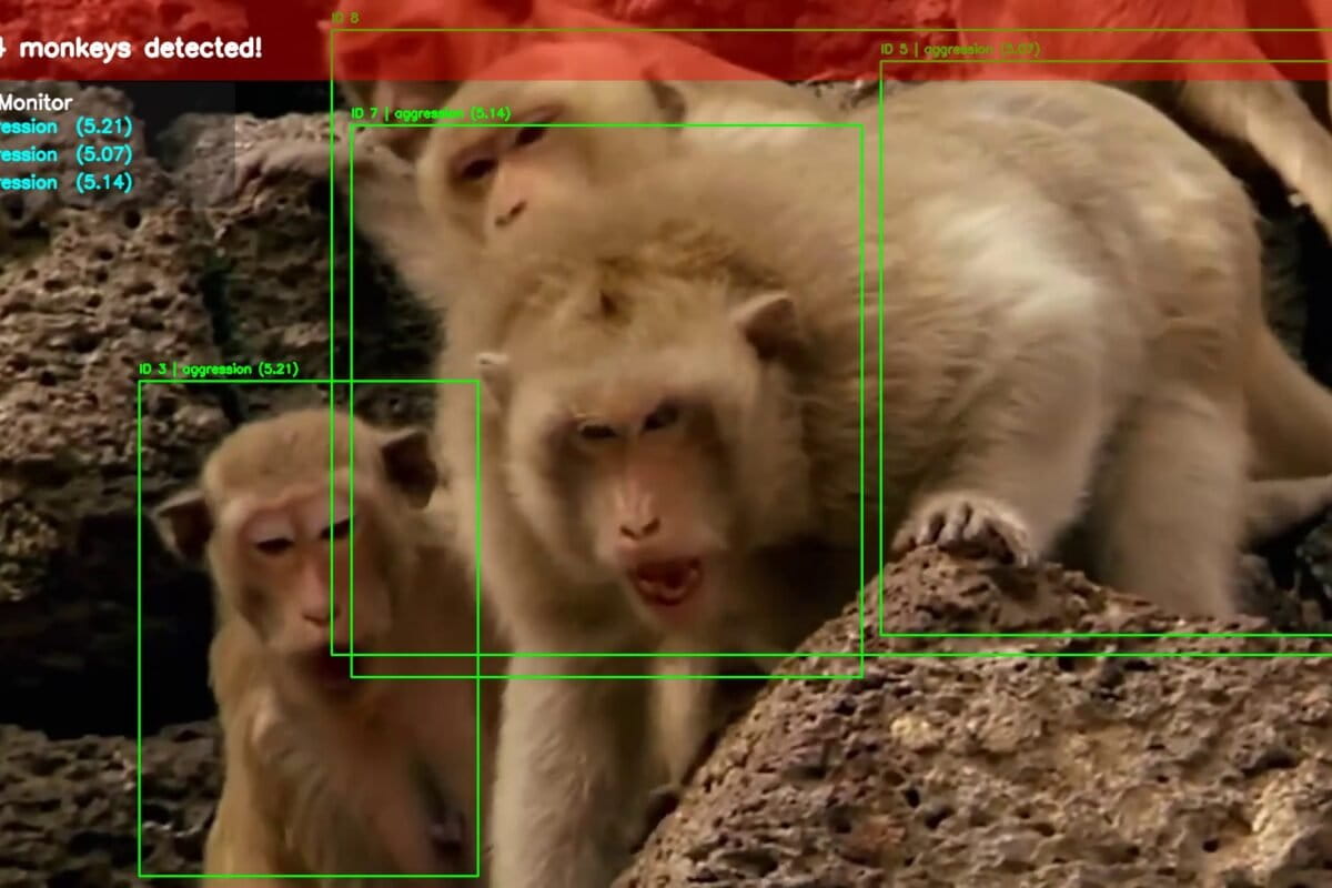 Nepal Farmers Use AI to Outsmart Crop-Raiding Monkeys - Image 2
