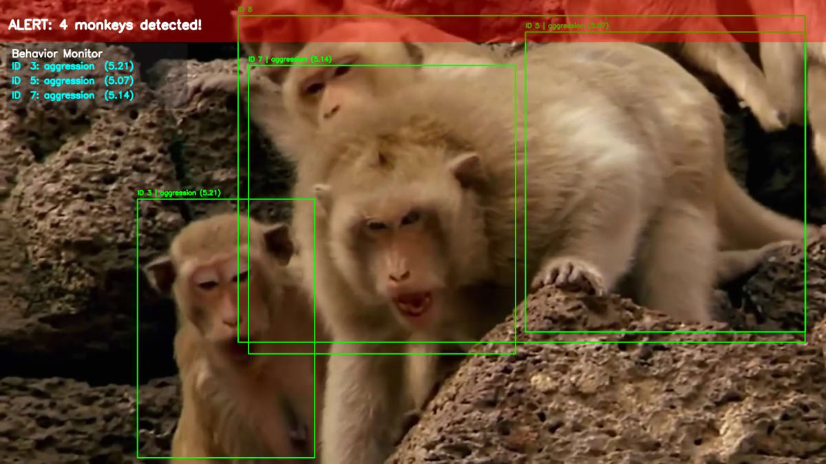 AI camera system detecting rhesus macaques in agricultural field in central Nepal