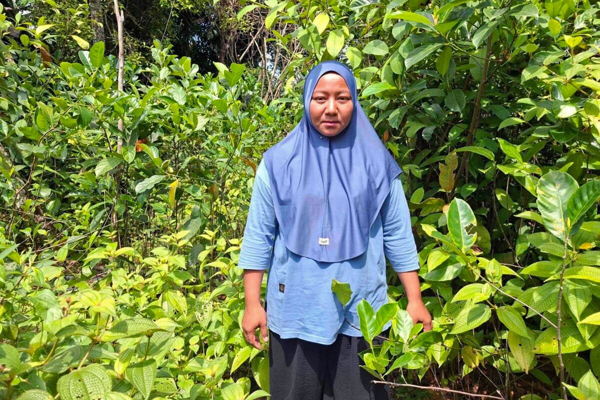 Indonesian Women Farmers Protect Elephants With Citrus - Image 5