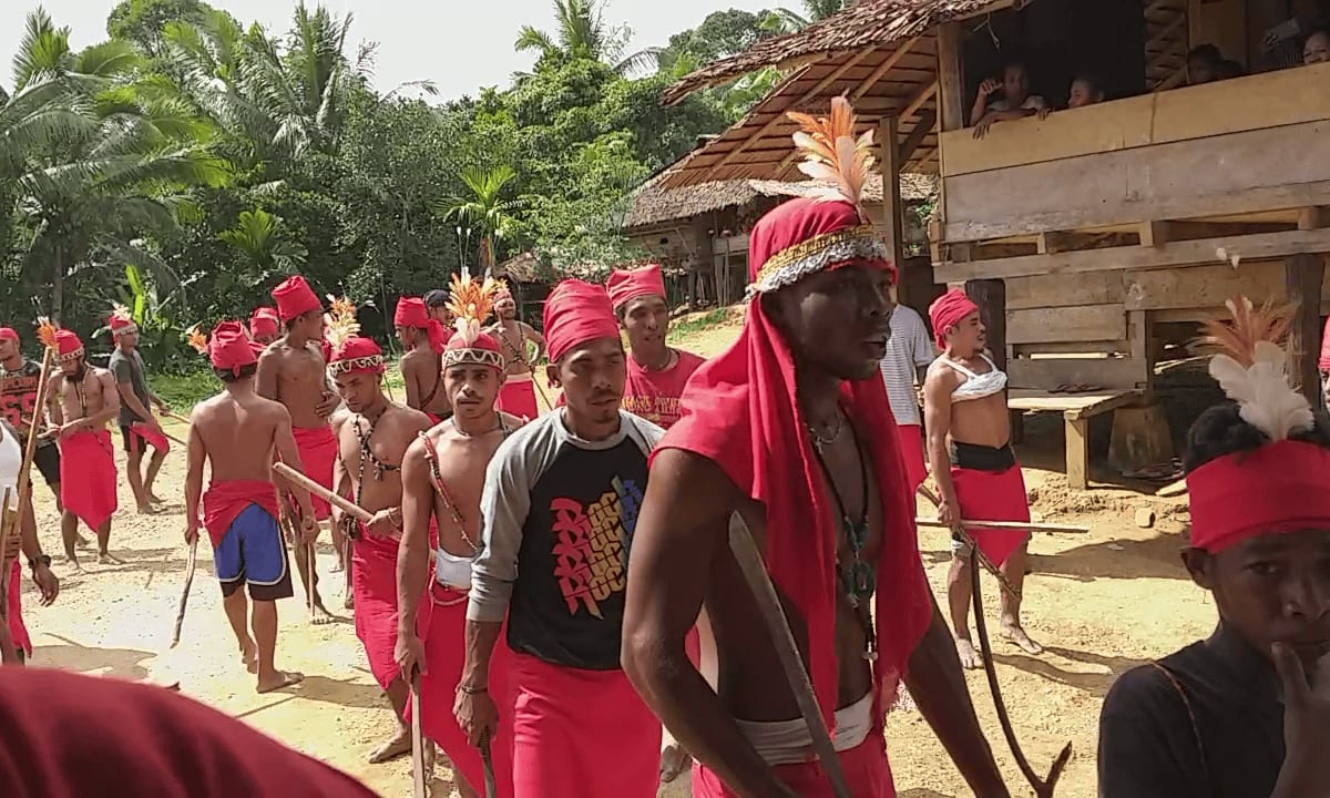 Indonesia Village Saves Rare Birds, Keeps Sacred Ritual - Image 2
