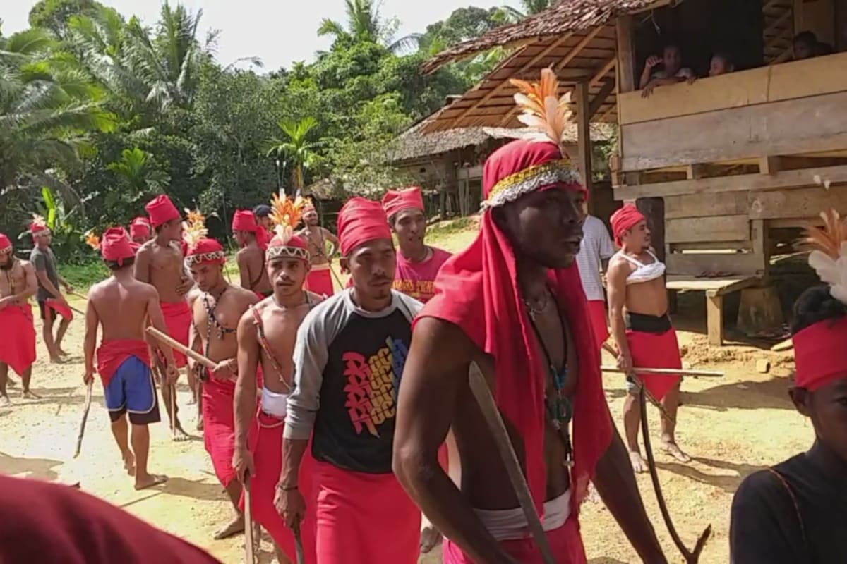 Indonesia Village Saves Rare Birds, Keeps Sacred Ritual - Image 5