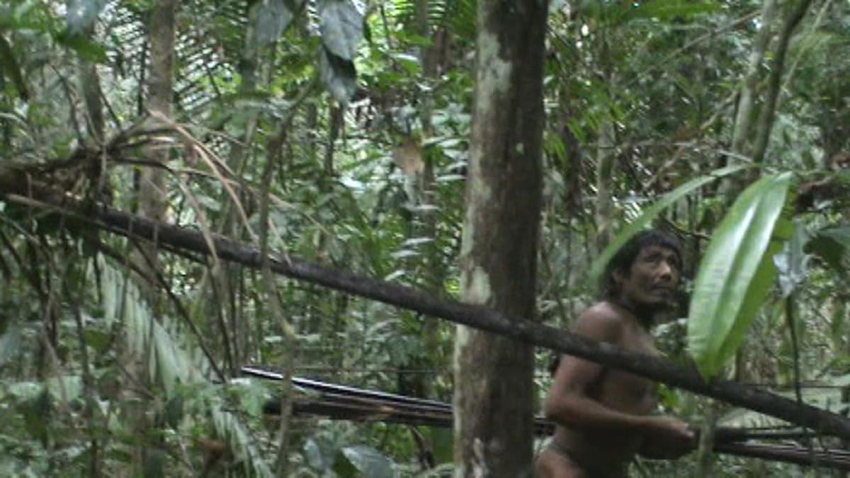 Brazil Marks Borders for Isolated Amazon Tribe After 25 Years - Image 4
