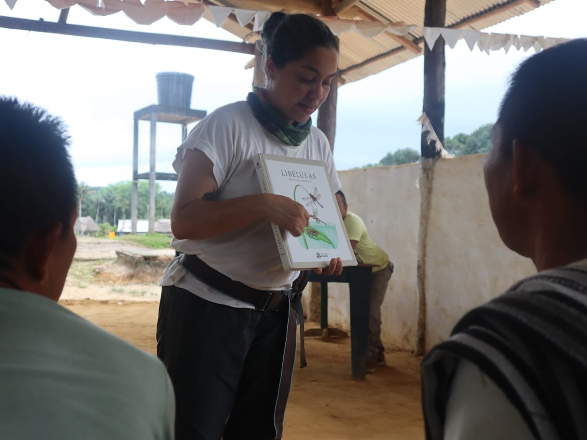 Colombia's Dragonflies Revive Indigenous Languages - Image 5