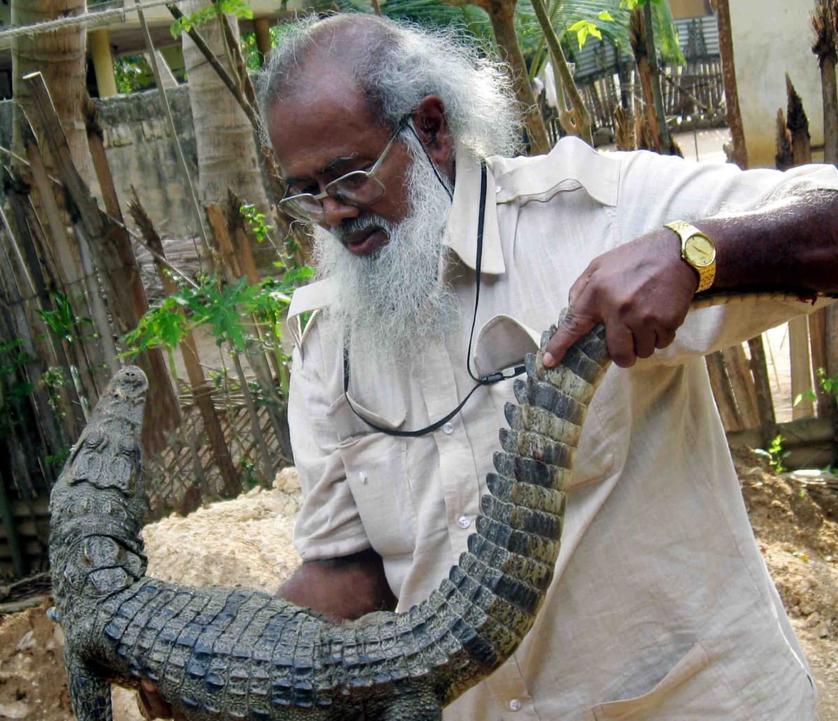 At 86, Sri Lankan Scientist Mentors Next Generation