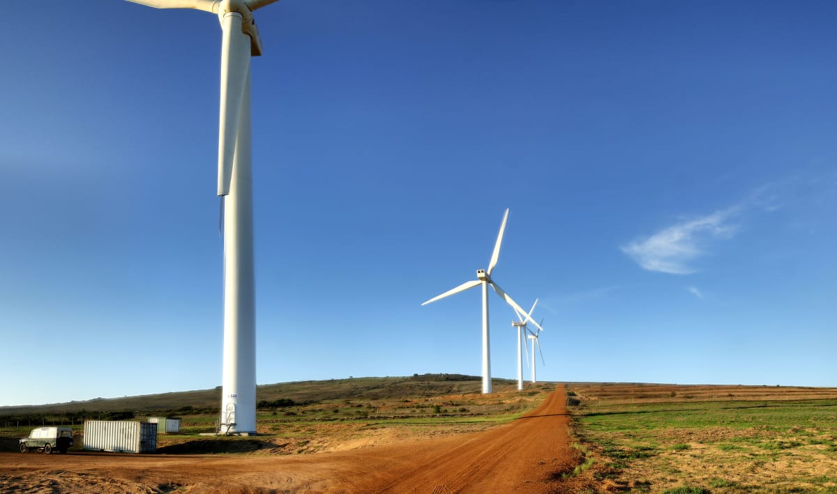South African Timber Mill Goes 90% Renewable Energy - Image 4