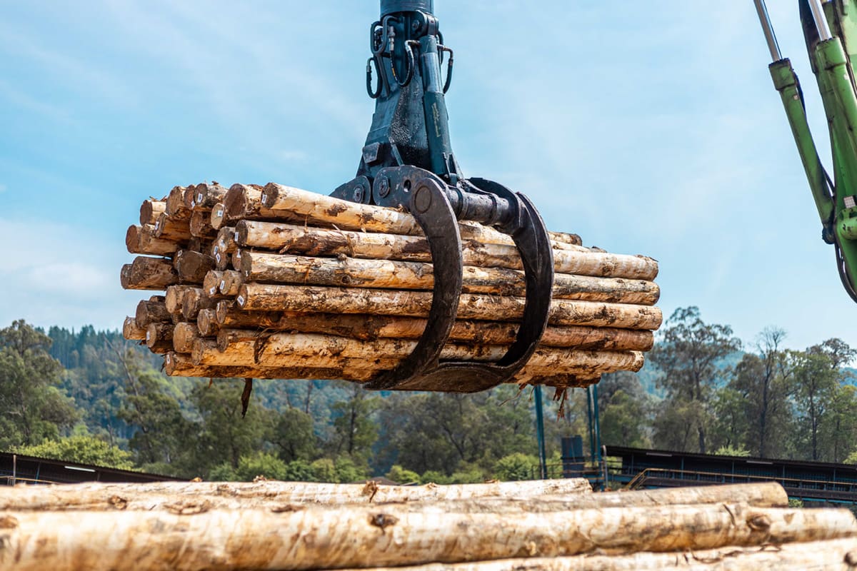 South African Timber Mill Goes 90% Renewable Energy