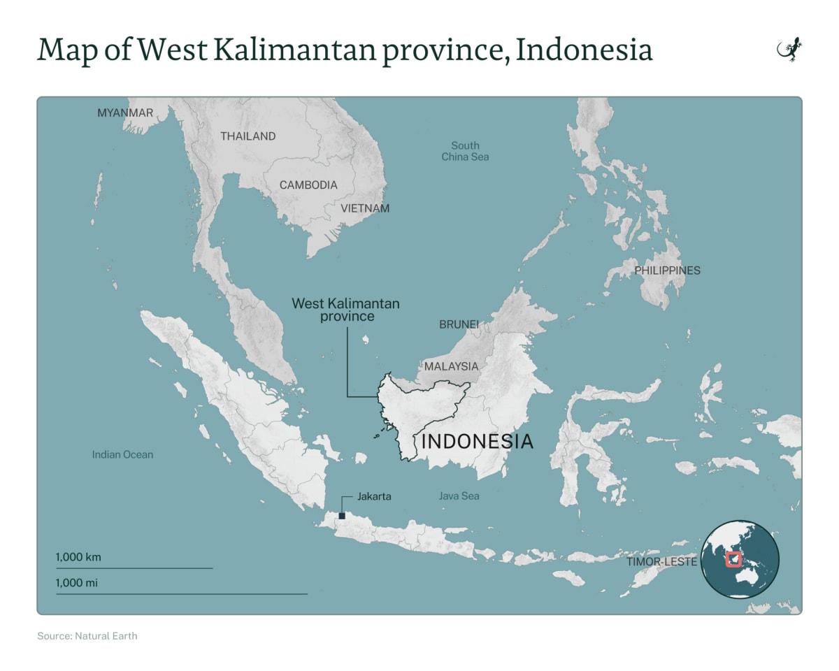 Indonesia Villages Cut Forest Loss 68% With Health Programs - Image 3