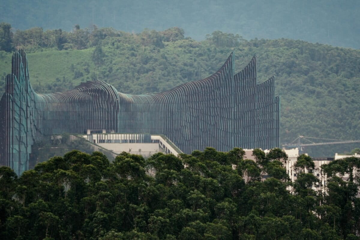 Scientists Record Borneo Rainforest Before City Transforms It - Image 2
