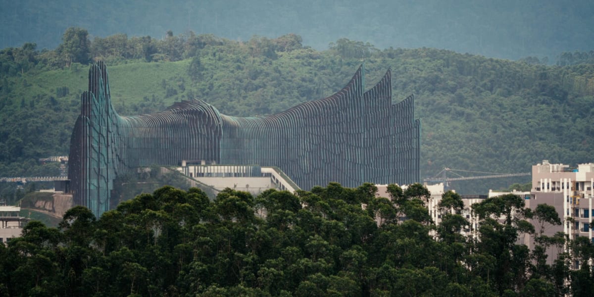 Scientists Record Borneo Rainforest Before City Transforms It