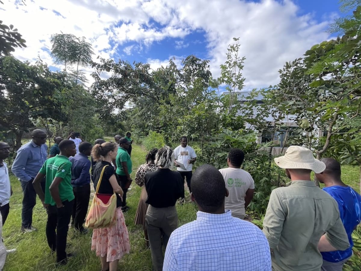 Malawi's Native Fruit Trees Fight Hunger and Save Forests - Image 4