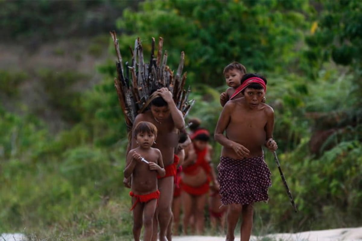 Scientists Build Malaria Alert System in Brazilian Amazon - Image 4