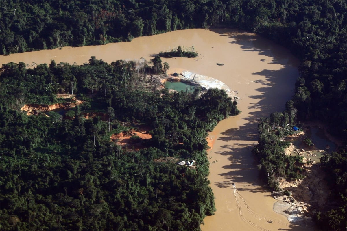 Scientists Build Malaria Alert System in Brazilian Amazon - Image 5