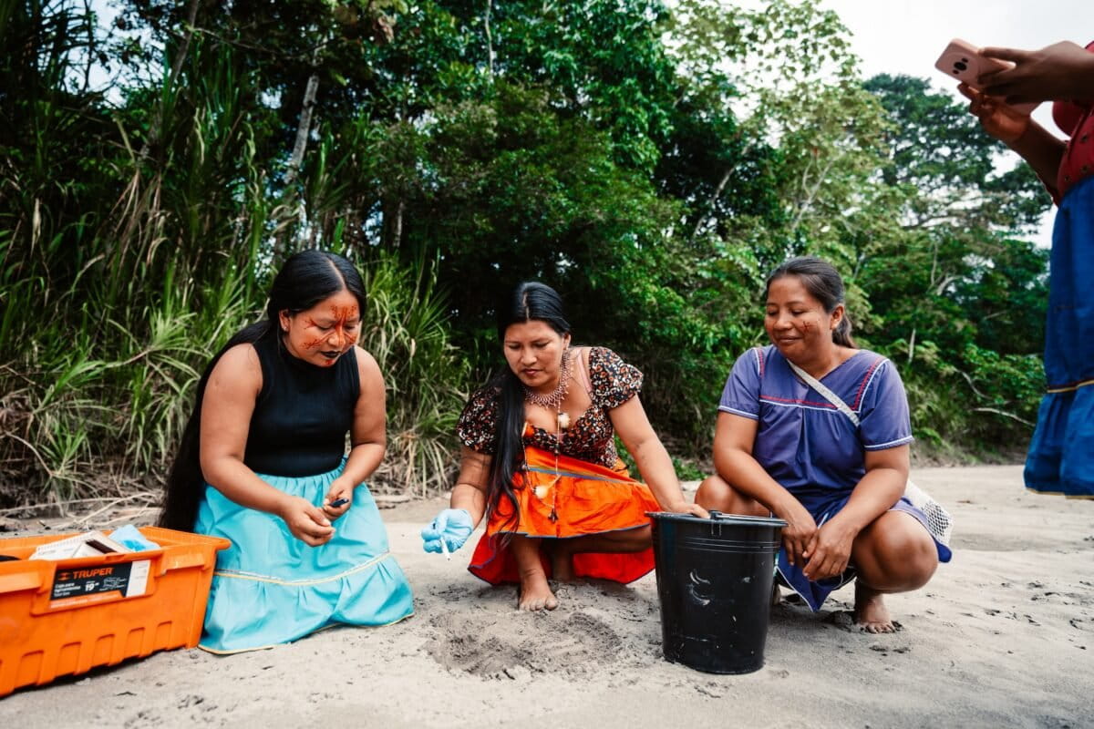 7 'Turtle Women' Save 208 Endangered Turtles in Amazon - Image 2