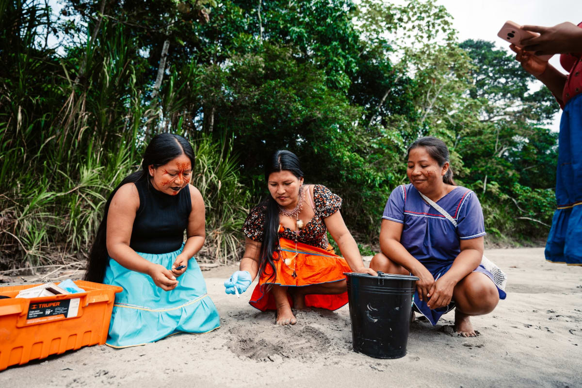 7 'Turtle Women' Save 208 Endangered Turtles in Amazon