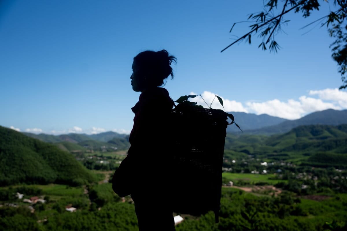 Vietnam Pays Families to Protect Wildlife Corridors - Image 2