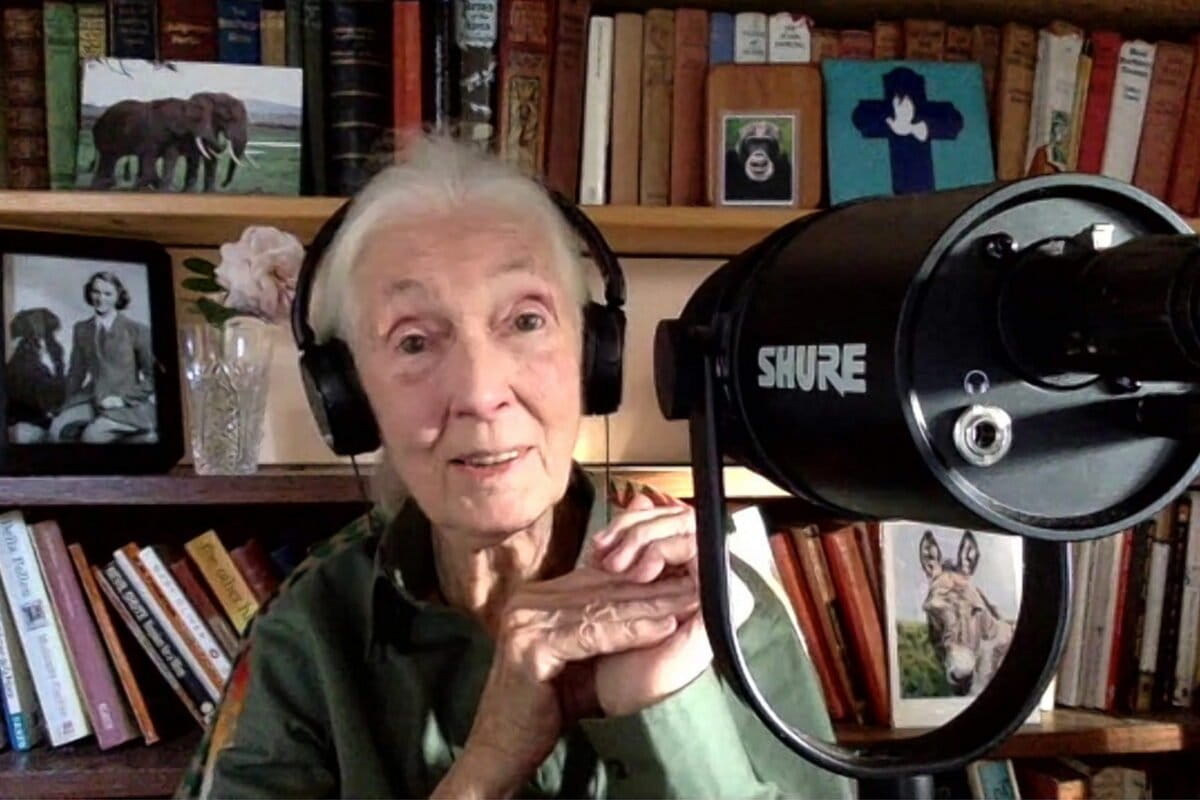 Climate Leader Wins First Jane Goodall Earth Medal - Image 2