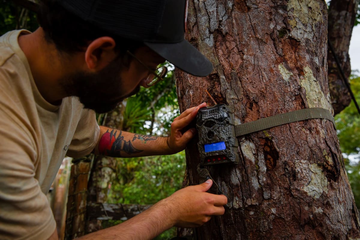 Canopy Bridges Give Sloths and Monkeys Safe Highway Crossings - Image 3