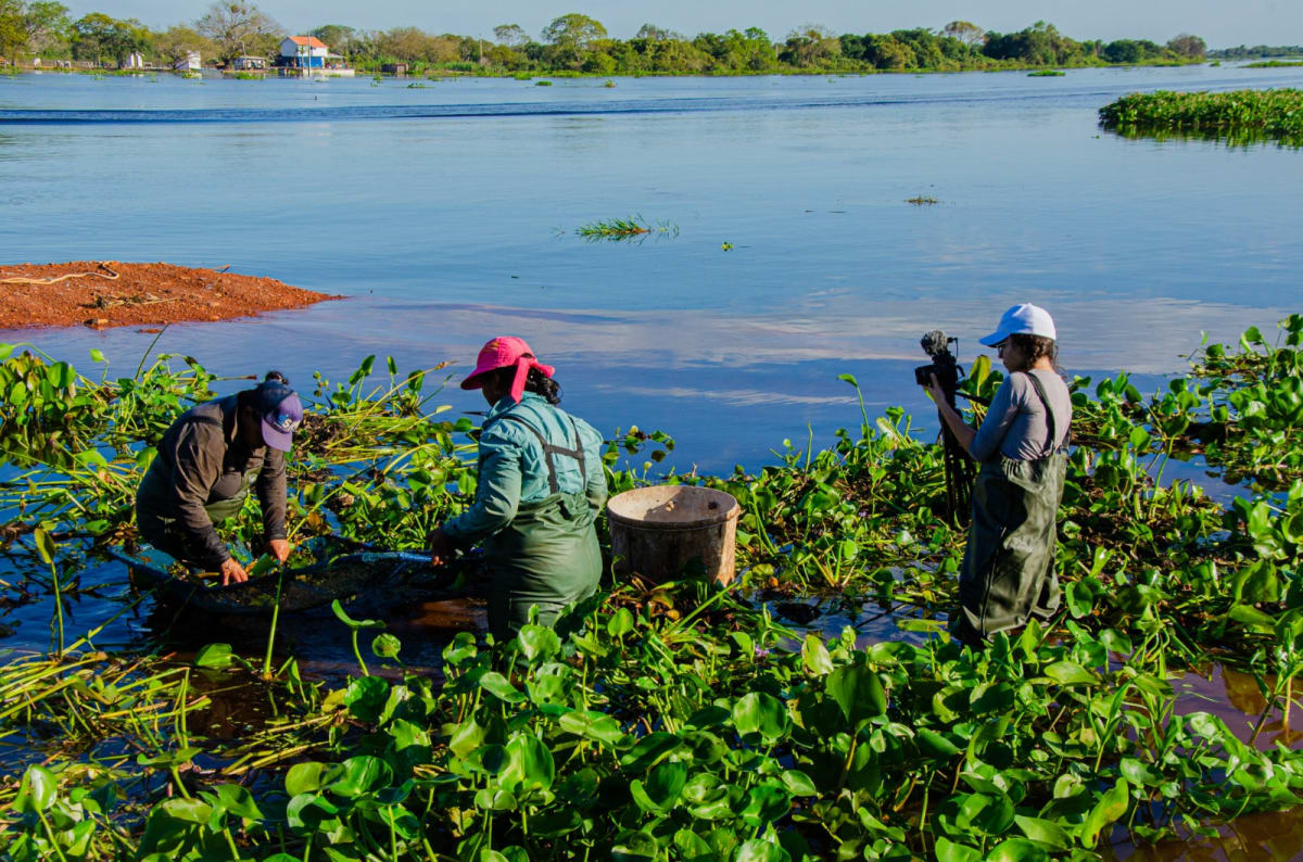 Brazilian Women Lead Pantanal's Fishing Revolution - Image 5