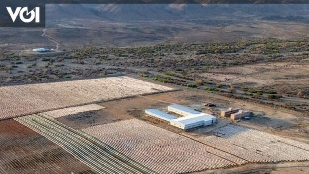 Saudi Arabia's First Coffee City Targets 2,000 Tons a Year - Image 2