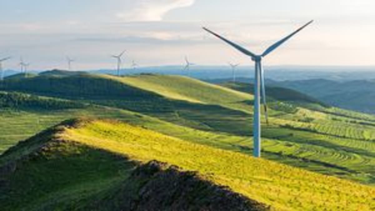 China's Renewable Energy Overtakes Coal for First Time - Image 5