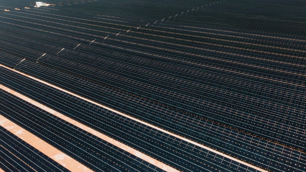 Rows of blue solar panels stretching across sunny landscape generating clean renewable electricity