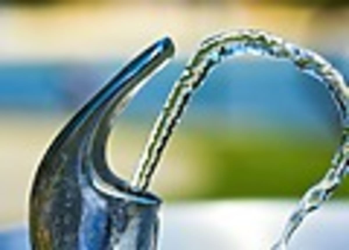 Why Cooperation, Not Competition, Drives Human Progress - Image 5