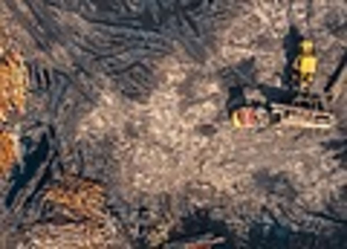 EU Cuts Forest Rules Compliance Costs by 75% - Image 3