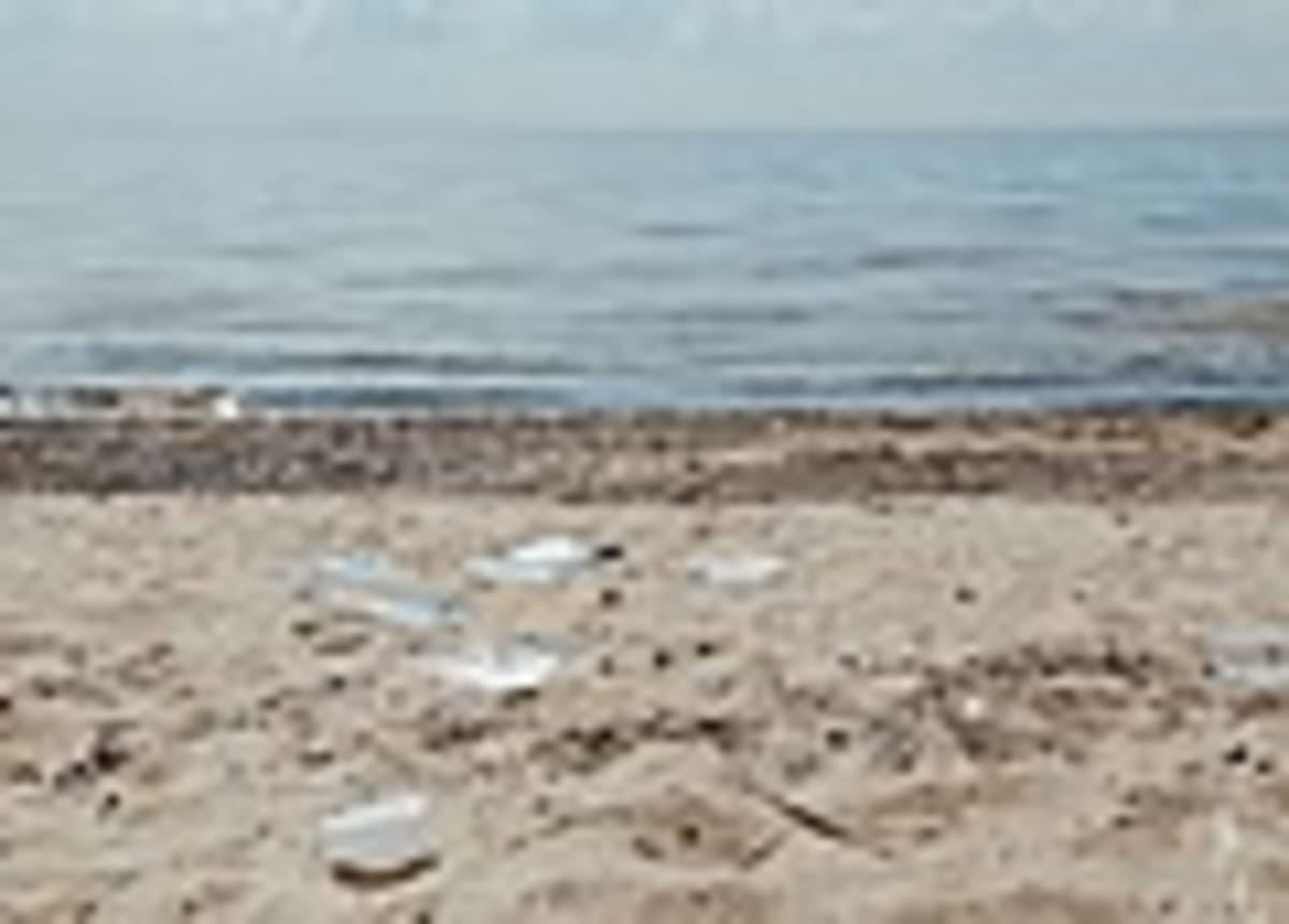 Ocean Carbon Removal Could Capture 8B Tons by 2050 - Image 5