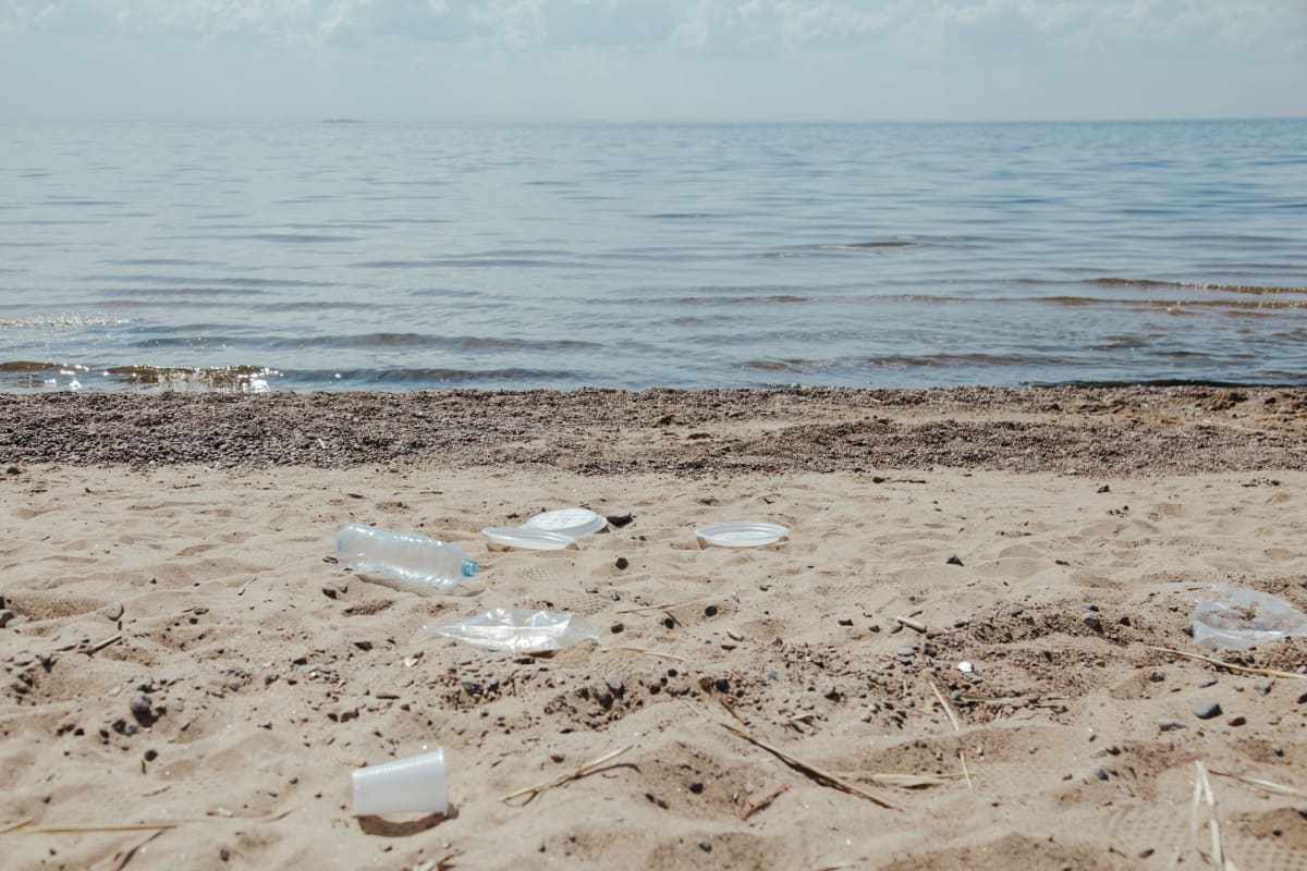 Ocean Carbon Removal Could Capture 8B Tons by 2050