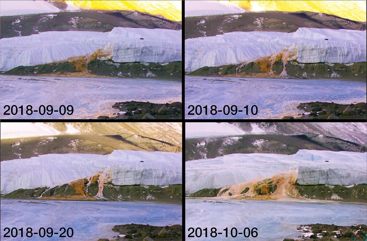 Antarctica's Blood Falls Mystery Solved After 113 Years - Image 2