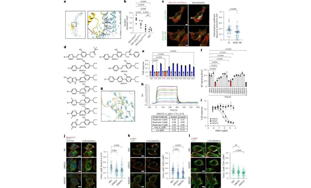 New Arthritis Drug Blocks Pain, Protects Your Immune System - Image 4