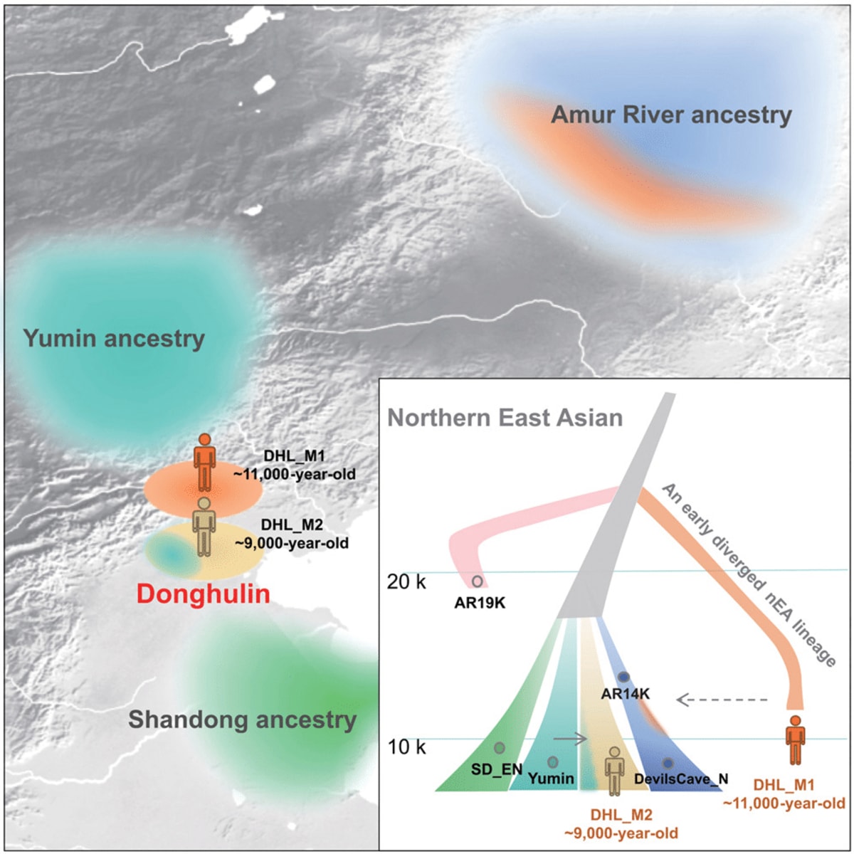 Ice Age Survivors: Lost Human Lineage Found in China - Image 2
