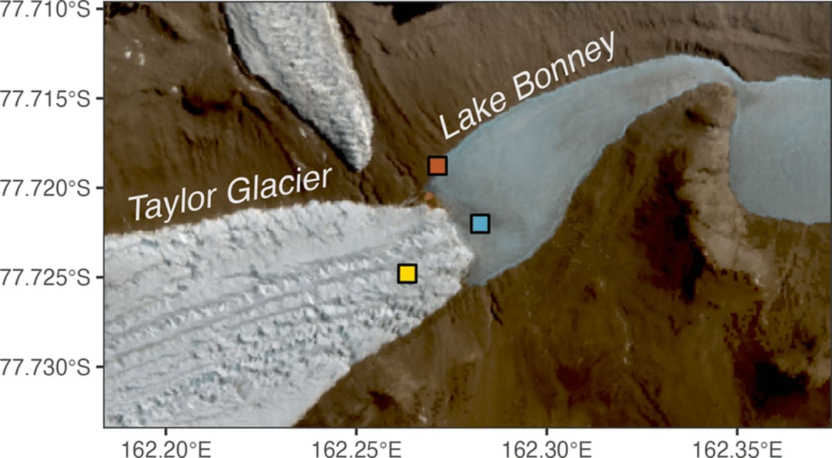 Antarctica's Blood Falls Mystery Solved After 113 Years - Image 3