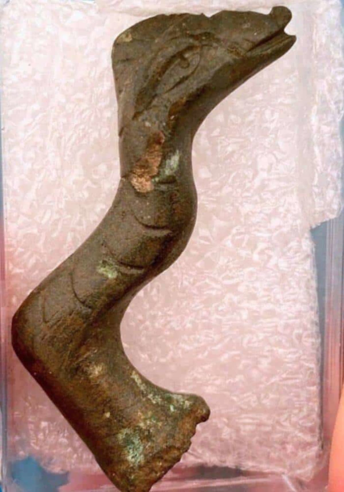 Wind Farm Dig Uncovers Roman Villa and 'Norfolk Nessie - Image 3