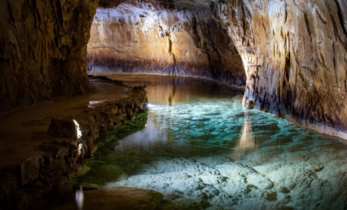 Texas Cave Reveals Ice Age Giants Never Seen in the Region - Image 2