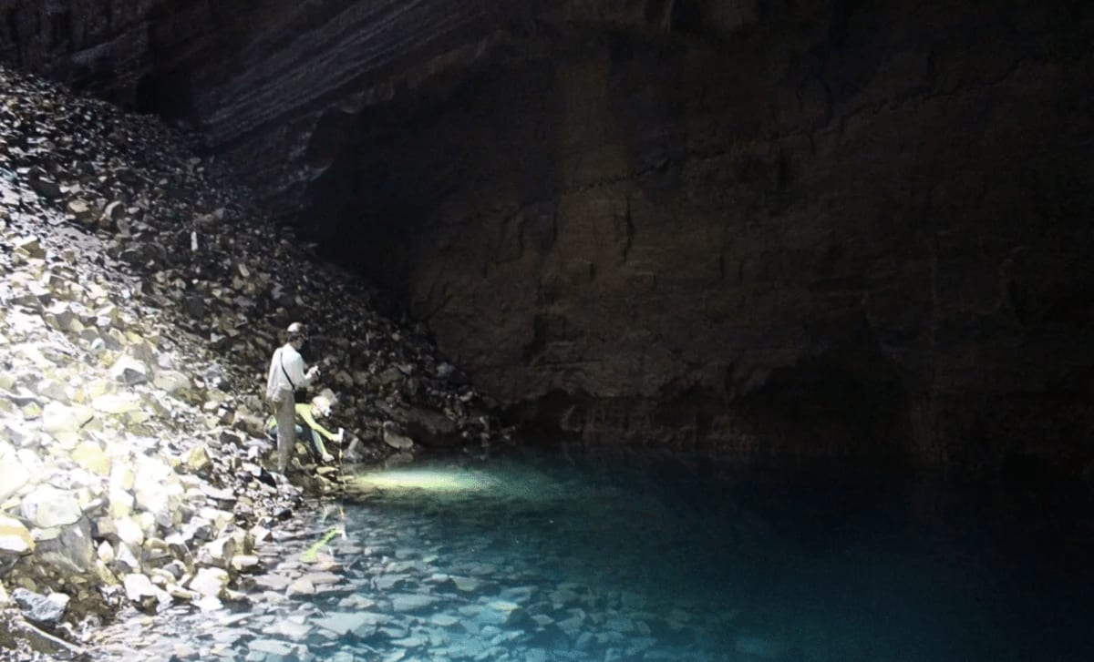 Mexican Cave's Natural Skylight Reveals Evolution in Action
