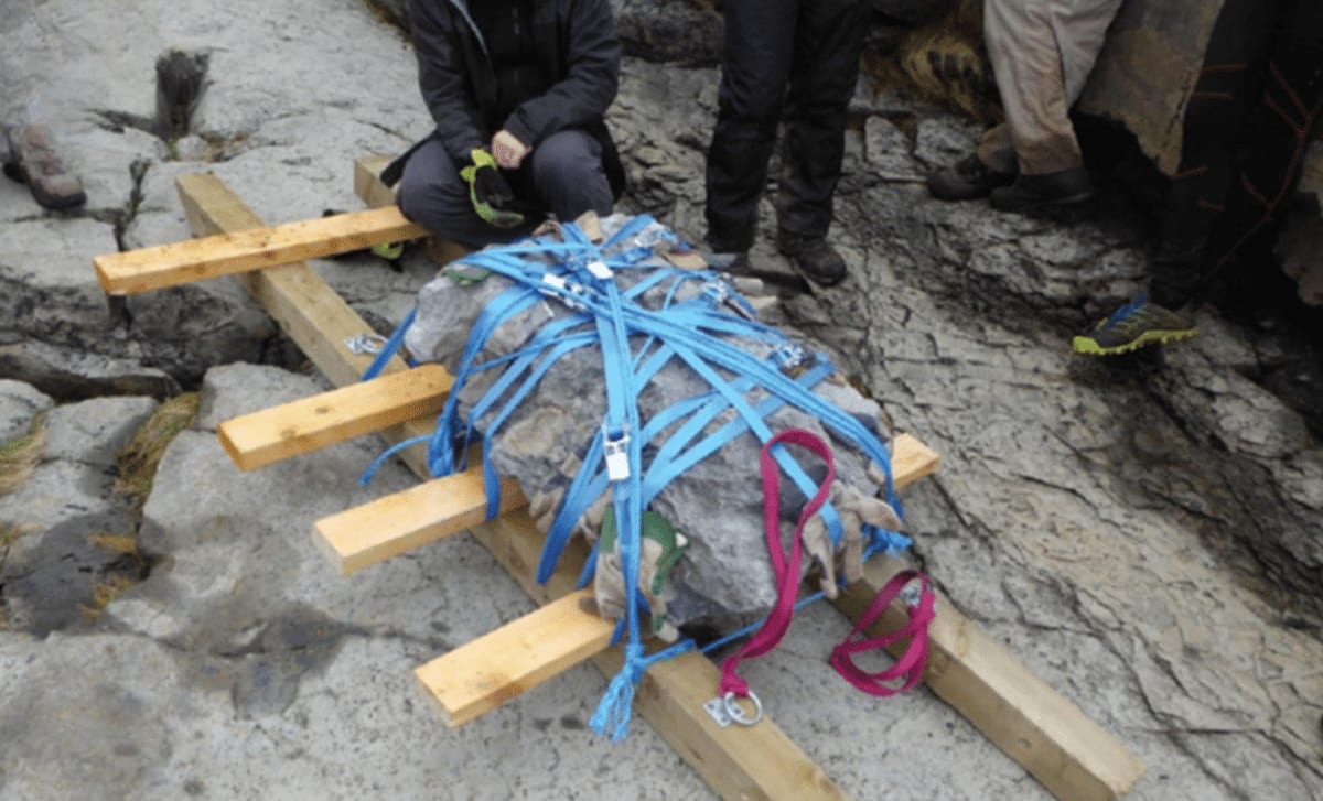Scotland Unearths Most Complete Dinosaur Fossil Ever Found