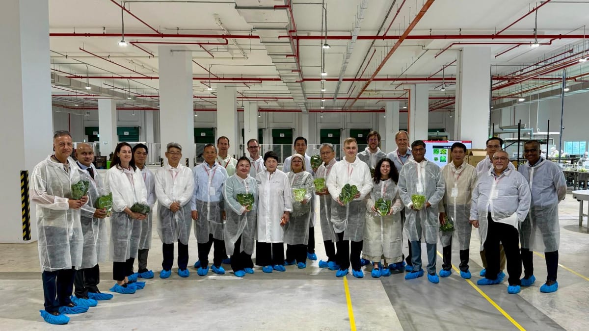 World's Tallest Vertical Farm Grows 2,000 Tons a Year