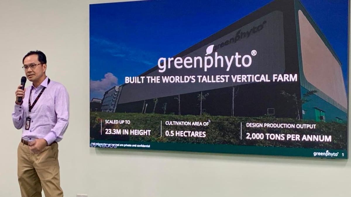 World's Tallest Vertical Farm Grows 2,000 Tons a Year - Image 2