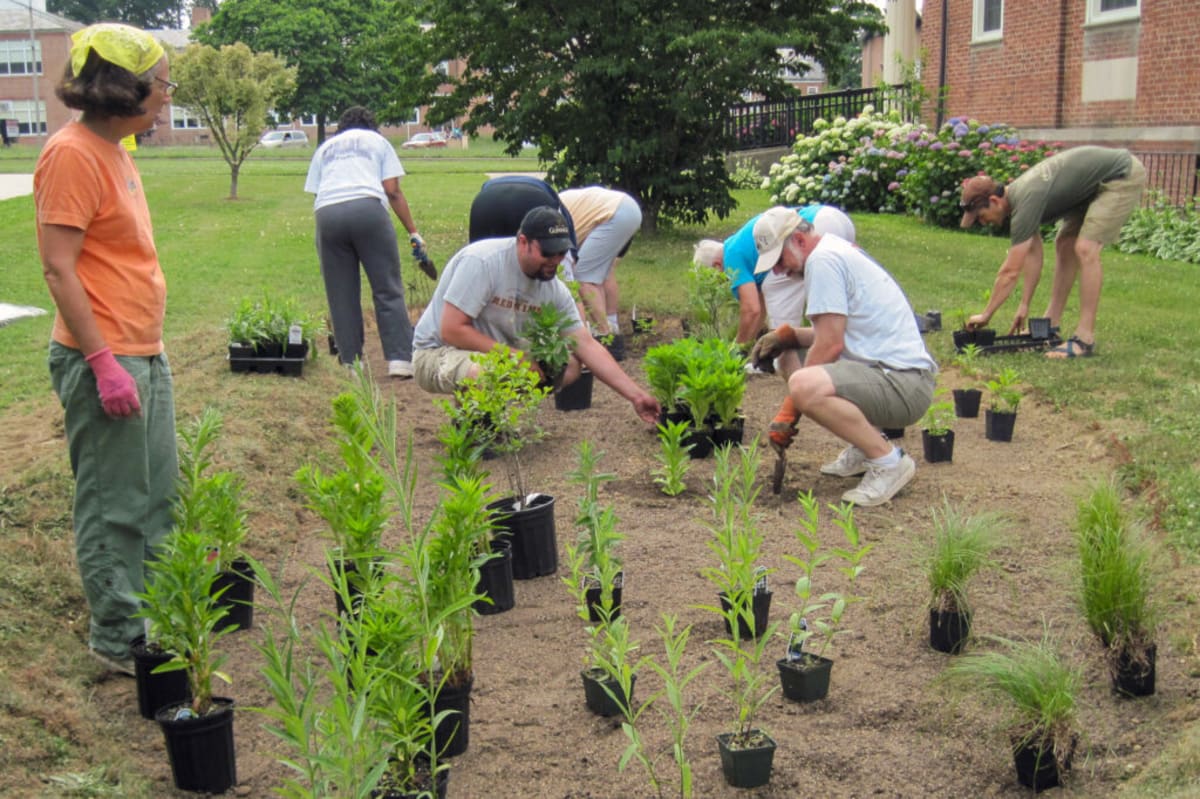 Local teens installing stepping stones in newly planted forest at Faith Presbyterian Church Baltimore