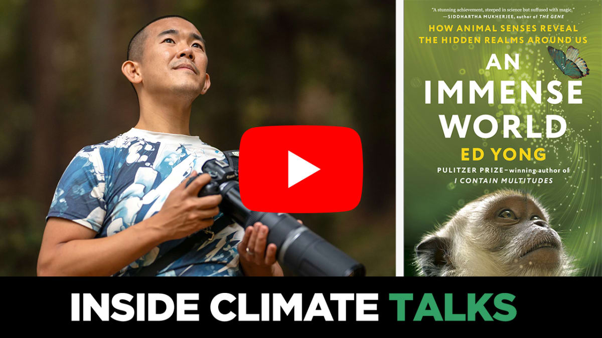 ** Science journalist Ed Yong speaking about how animals experience unique sensory worlds humans cannot perceive