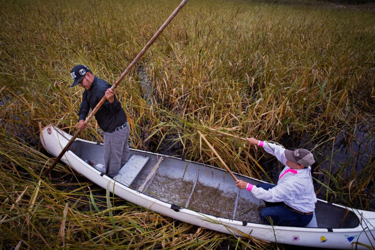 Indigenous Teams Use Drones to Restore Sacred Wild Rice