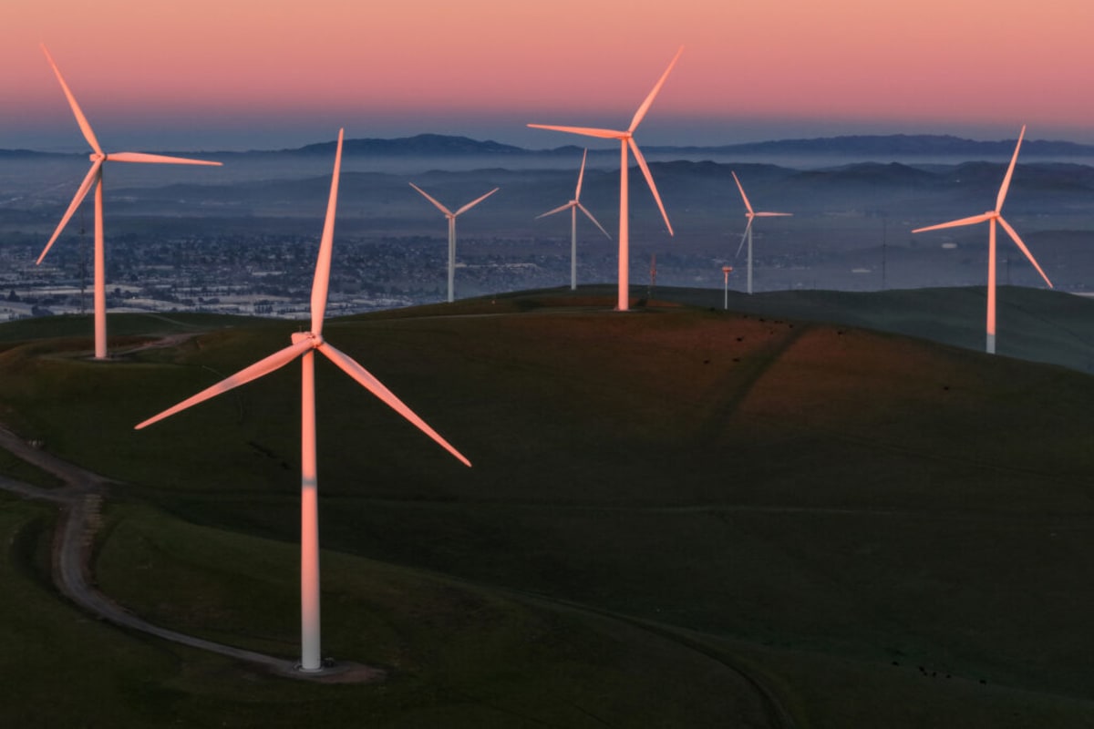 Clean Energy Wins Big as Courts Block Trump Wind Ban